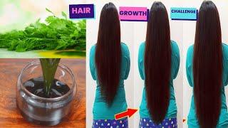 hair growth challenge: thicken your hair with coriander oil 