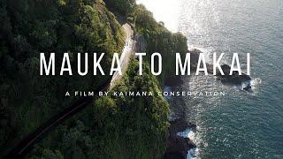 MAUKA TO MAKAI - MAUI, HAWAII - 4K aerial drone film