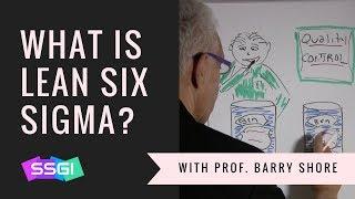 What is Lean Six Sigma?