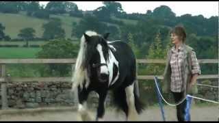 Around-a-Round-Pen Horse Training Technique!!