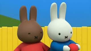 Miffy & Friends | Miffy | Cartoons for kids