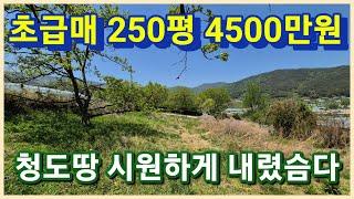 청도군 청도읍 또 내렸습니다 250평 4500만원 조망권 멋진 청도땅 주말농장 체류형쉼터로 어때요 3110