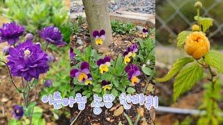 이른아침 농장 한바퀴