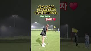 [장타정타골프] 동반자 중요성️#golf #골프 #퍼터