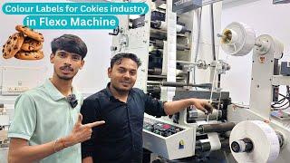 Colour Labels For Cookies Industry with High Printing Quality in Flexo Machine| #flexoprinting