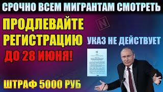 Указ 274 продлен. Продлить регистрацию или нет. Срочно Всем мигрантам смотреть