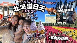 非自駕帶嬰北海道旅行！9天8夜去哪裡？交通順利嗎？富良野花田、旭山動物園夏天的北海道EP1｜Cynbunny｜