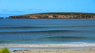 Peaceful Solo Surf Session FULL UNEDITED | Fun waves + dolphins with calming ocean sounds