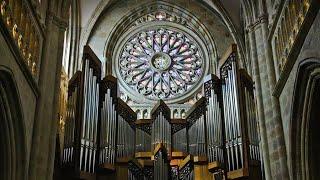 Organ Sortie - Traditional Latin Mass