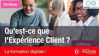 Qu'est-ce que l'Expérience Client ? [Formation Digitale] - Dunod