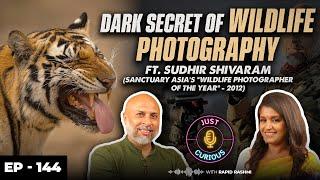 Into the wild, Photography Tips & Course’s, Celebrity wildlife Photography, Surviving, Money & More