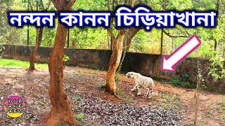 নন্দন কানন চিড়িয়াখানা || ভ্রমণ গাইড  || পুরী সাইটসীন || Nandan Kanan zoological Park | Bhubaneswar