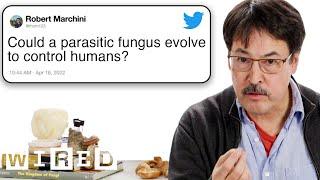 Mycologist Answers Mushroom Questions From Twitter  | Tech Support | WIRED