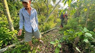 Single Man Needs Help Garden Disaster Tree Fall, Overgrown Grass