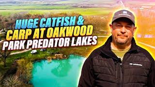 HUGE Catfish & Carp at Oakwood Park Predator Lakes, Norfolk! swimbooker™ Diaries