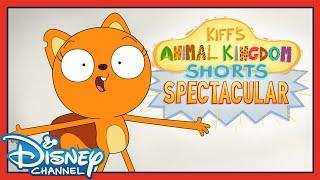 Kiff's Animal Kingdom Shorts Spectacular | Full Special! |  NEW KIFF CHIBI SHORT! | @disneychannel