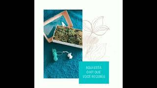 Tutorial kit kokedama - Kokepet