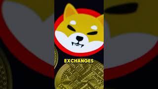 SHIBA INU COIN WHALES MOVING SHIB!