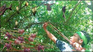 Hunting slingshot #82 - Shoot pigeons and swallows, cook for food || Thai S