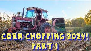 Chopping Corn On Our Small Dairy Farm 2024/Part 1