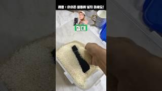 아이폰을 쌀통에 넣지 마세요! 응? 그런 사람이 있어? #shorts