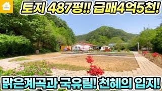 전속!! 양평전원주택 급매 4억5천!! 토지실사용700여평! 캠핑장&소규모 연수원 추천! [NO.23980번] 양평전원주택급매물