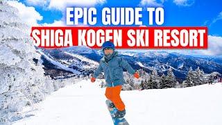 Plan Your EPIC Family Snow Trip to SHIGA KOGEN Ski Resort JAPAN