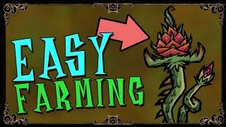 EASIEST WAY TO USE FARM PLOTS | Reap What you Sow Don't Starve Together Guide