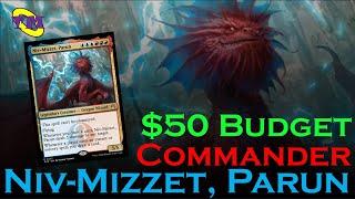 Niv-Mizzet, Parun Budget Commander | Budget Izzet Spellslinger with Upgrades & Top 10 Cards | TM MTG