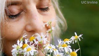 Smell & Memory - UC Irvine