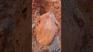 Pulling a large smoky quartz crystal from Magnet Cove, Arkansas!!