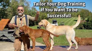 How We Tailor Our Dog & Puppy Training To Help Dogs Realize Their Full Potential! | Seven Examples