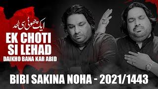 EK CHOTI SI LEHAD DAIKHO BANA KAR ABID | Sonu Monu | Bibi Sakina Noha 2021 | New Noha 2021