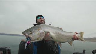 PYRAMID LAKE Lahontan Cutthroat Trout ADVENTURE! | HUNDREDS Caught & Released! | Part 2 of 2