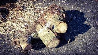 Woodturning a Fiery **Maple** log