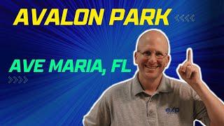 Living in Avalon Park in Ave Maria, Florida