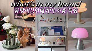 리뷰만점30대 인플루언서 센스가득 인테리어 찐템 소개 왓츠인마이백(홈)