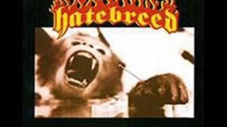 Hatebreed - Under The Knife