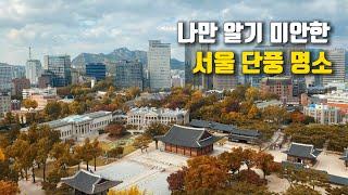 [ENG] 나만 알기 미안한 서울 단풍 명소 3  단풍으로 물든 도심이 한눈에 내려다 보이는 무료 전망대 + 아름드리 은행나무