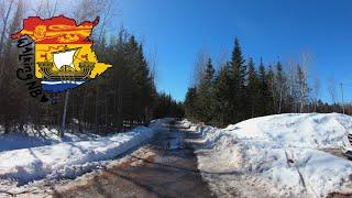 Wetland Trail at Mapleton Park, Moncton NB | Real Time Walking | 4K Video