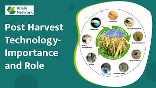 Important Of Post Harvest Management In Agriculture | Krishi Network