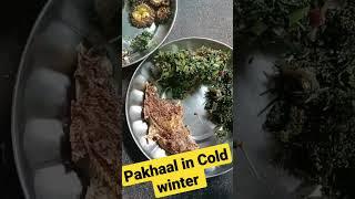 Pakhaal in cold winter