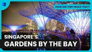 Gardens by the Bay - How Did They Build That? - S01 EP03 - Engineering Documentary