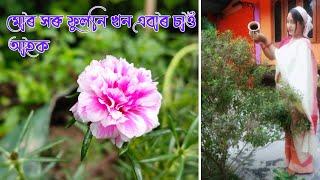 Plant Nursery | Mukti Dutta Nursery - Assamese vlog video