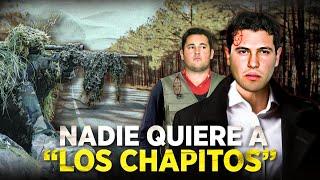 SACUDIDA EN SINALOA: Acusan a "Los Chapitos" de crímenes y corrupción en plena GUERRA DE CARTELES