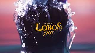 The Gold Standard of Tequila - The Limited-Edition Lobos 1707 Añejo