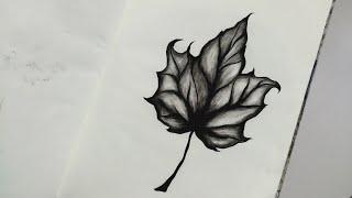 How to draw a leaf step by step ।। Realistic pencil drawing tutorial।।Leaf drawing easy