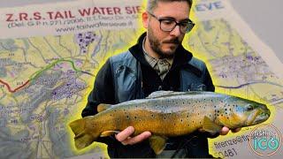 I caught a BIG BROWN TROUT in a SMALL STREAM! (Trout Fishing in TUSCANY)