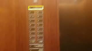 Mitsubishi High Speed Traction Elevator at Hotel Shila(Main), Seoul Korea