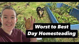 The Worst Day Ever to the Best Day Ever at my 200 year old Irish Cottage & Homestead  - Episode 72